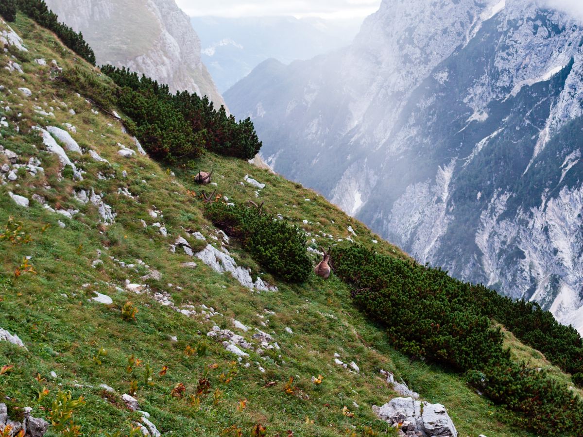 Triglav National Park,&nbsp;Slovenia