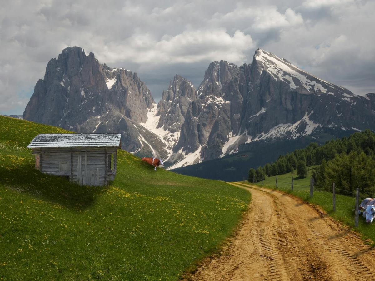 Best Time to Visit the Alps: A Season-by-Season Guide